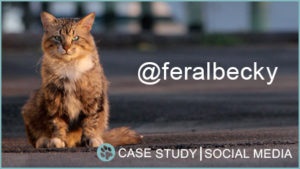 Case Study: @feralbecky