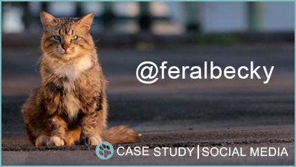 Case Study: @feralbecky