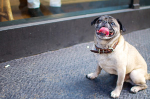 Gus-Soho-sstorefront1