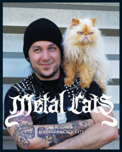 metalcats180