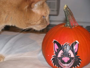 Halloween-Cat