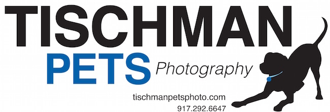 Meet the Paws PR Team 4 Tischman Pets Photography