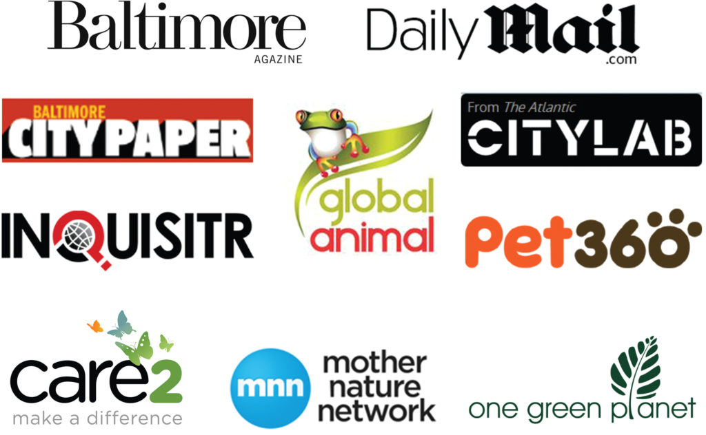 Media coverage outlets for Photographers for Animals