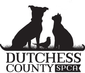 Dutchess County SPCA