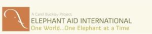 Elephant Aid International